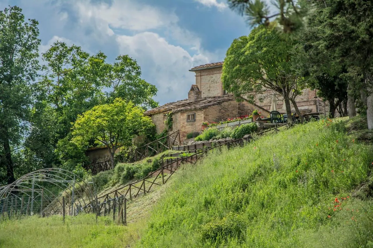 Agriturismo La Ripolina Buonconvento Country house