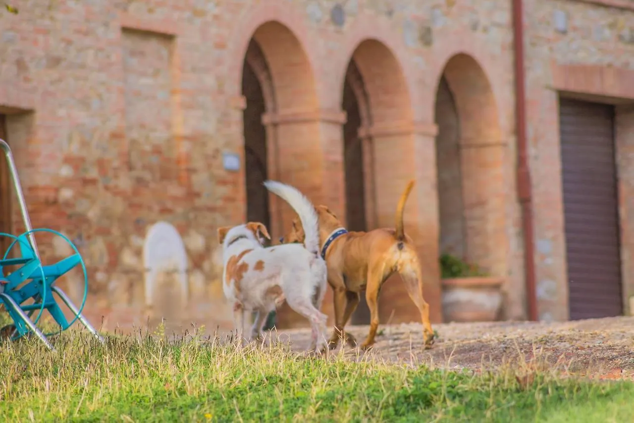 Agriturismo La Ripolina Buonconvento 0*,  Italy